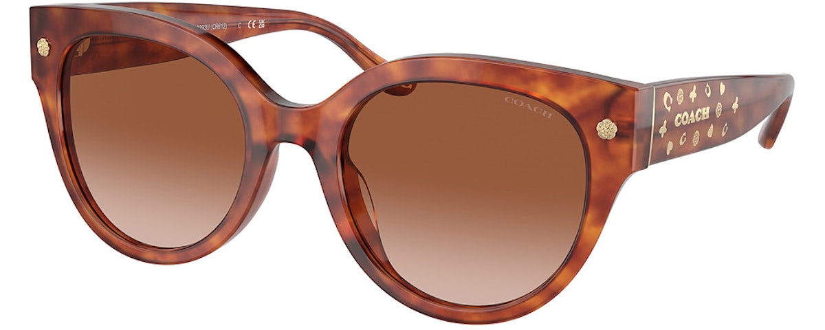 CARAMEL TORTOISE / BROWN GRADIENT