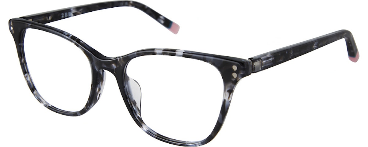 BLACK TORTOISE