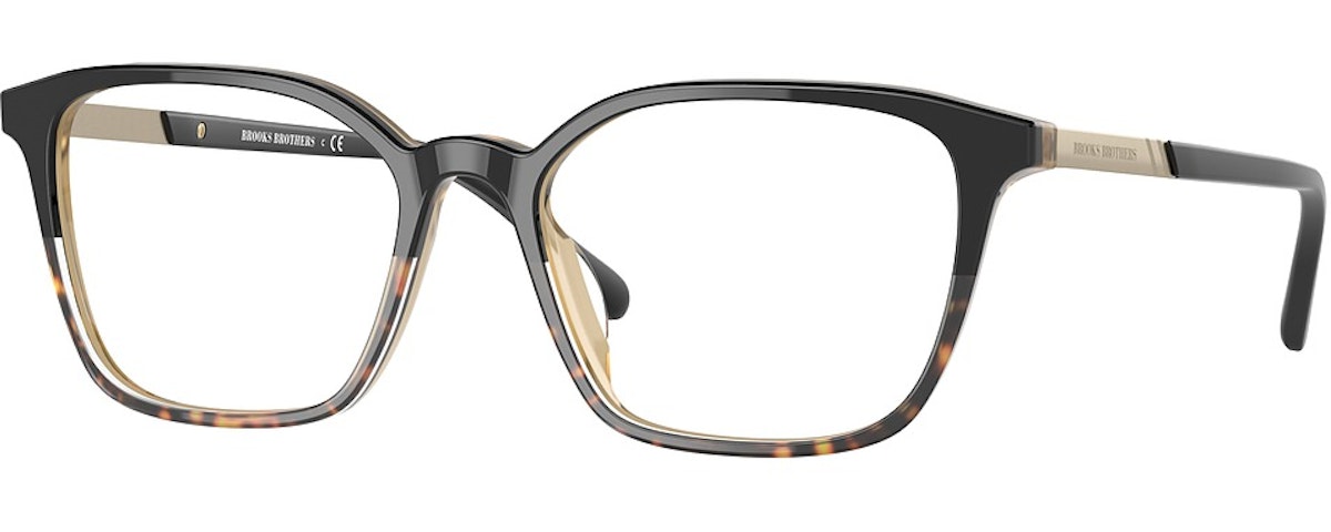 BLACK TORTOISE GRADIENT