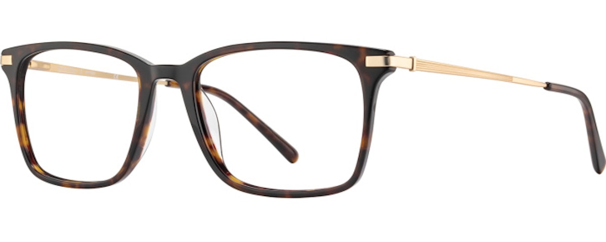 Tortoise / Gold