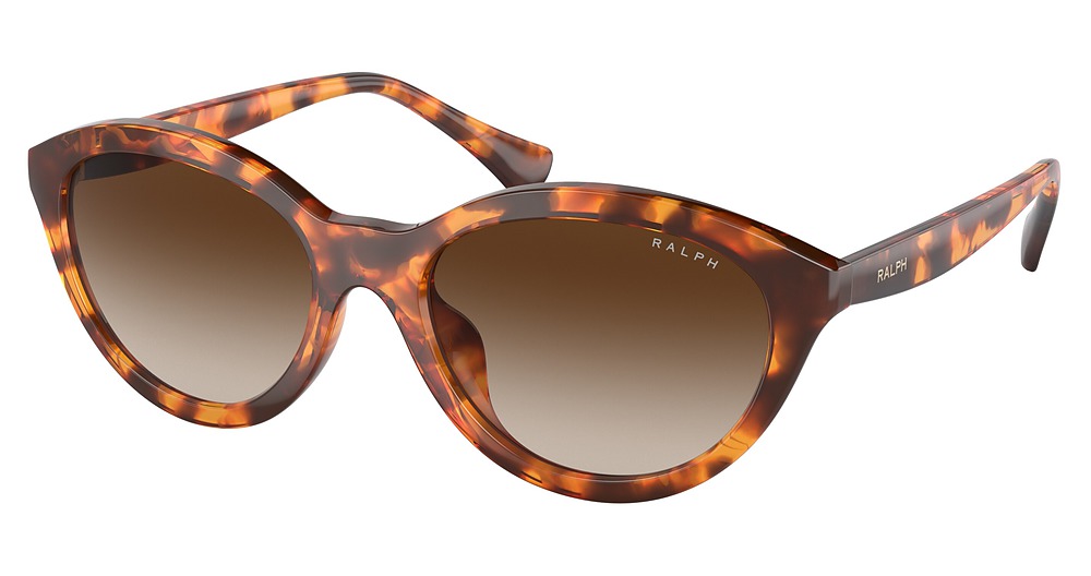 SHINY HAVANA / GRADIENT BROWN
