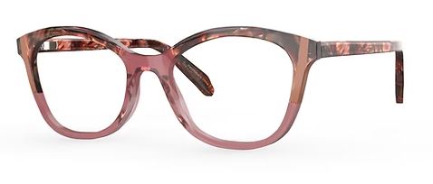 LAVENDER DREAM TORTOISE