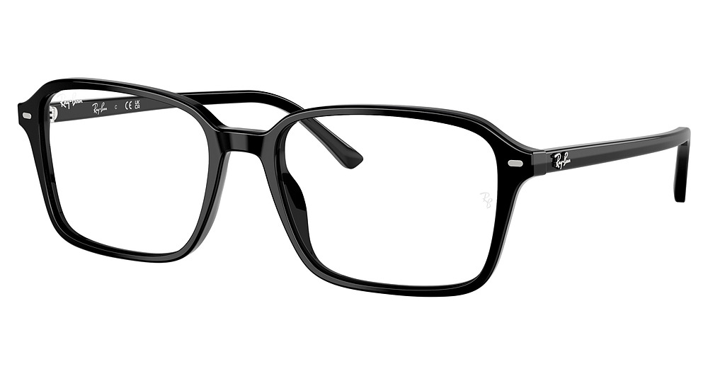 Ray-Ban RB2231 RAIMOND sunglasses in Black/Transitions 8 Sapphire
