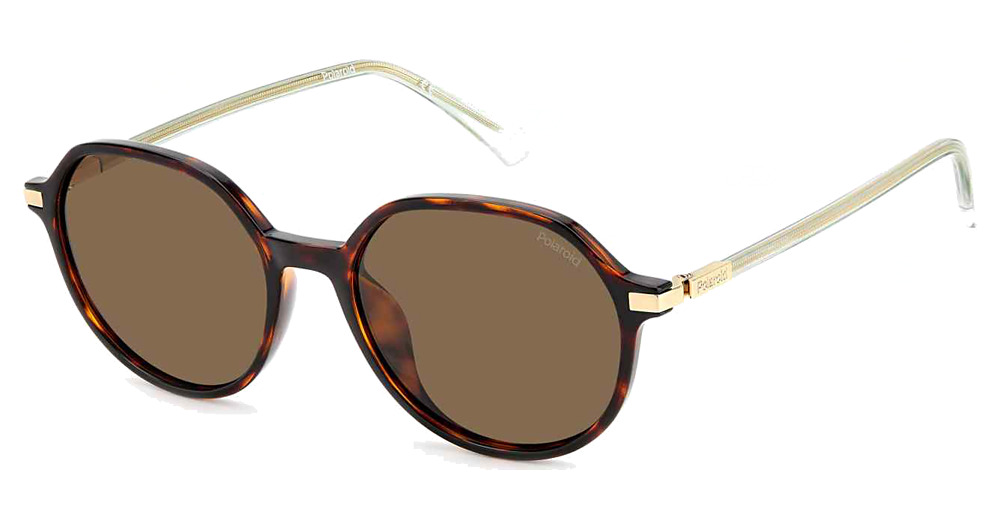 HVN / BRONZE POLARIZED