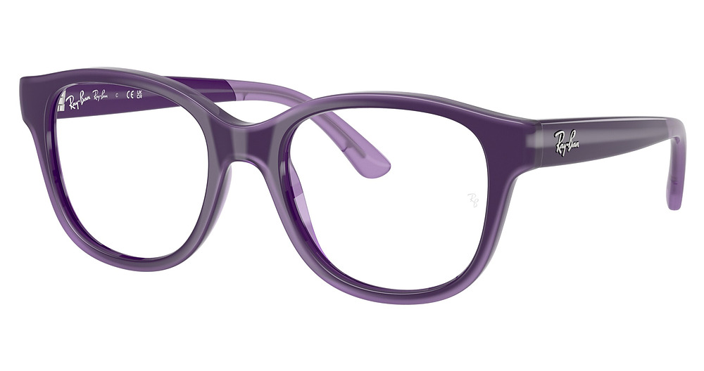 VIOLET WITH TRANSPARENT