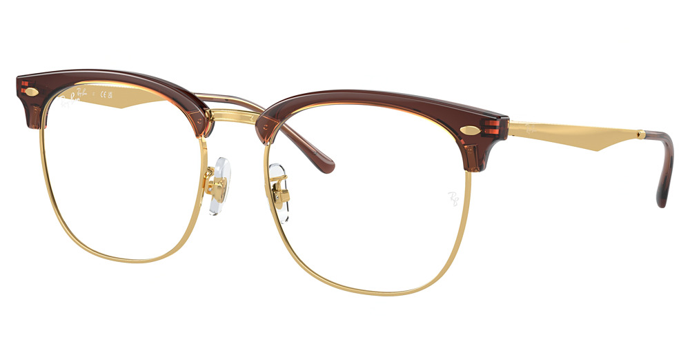 Ray-Ban RX7318D round eyeglasses in Transparent Dark Brown O