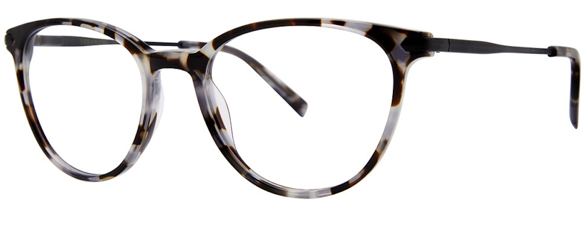 Black Tortoise