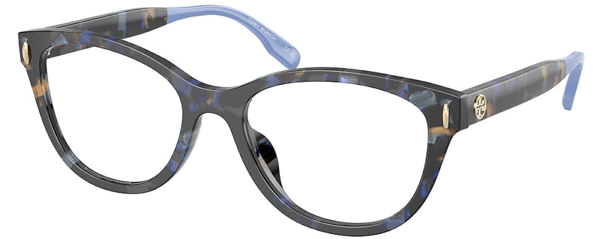 BLUE TORTOISE
