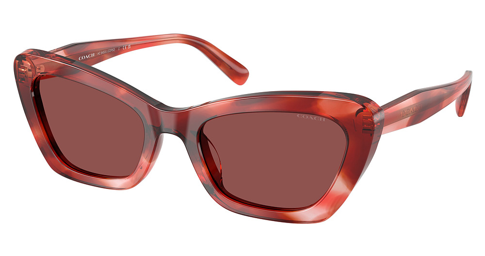 CHERRY TORTOISE / WINE SOLID