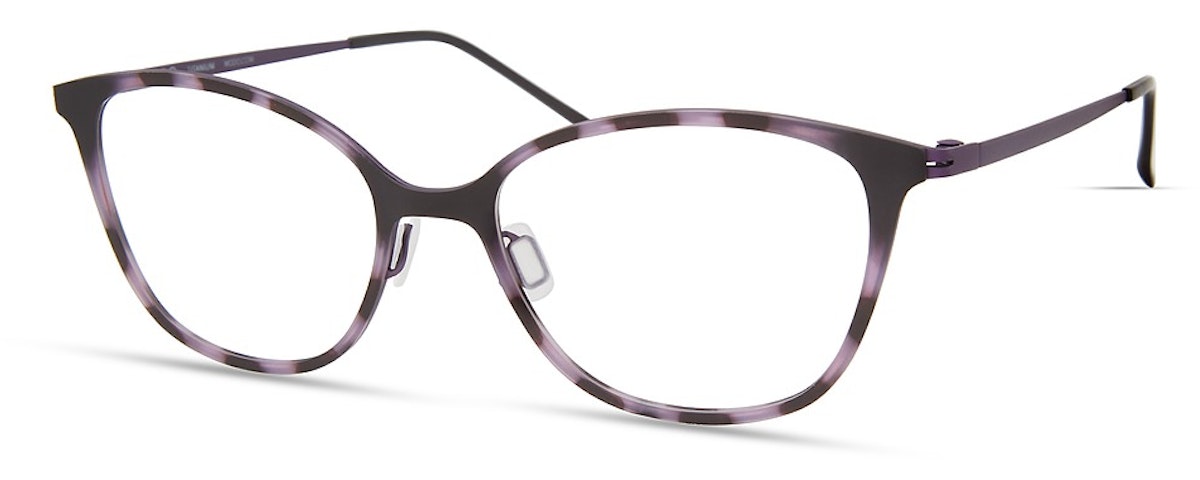 Purple Tortoise