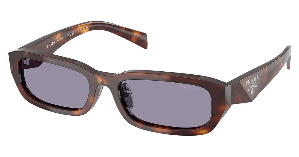 CLASSIC TORTOISE / GREY
