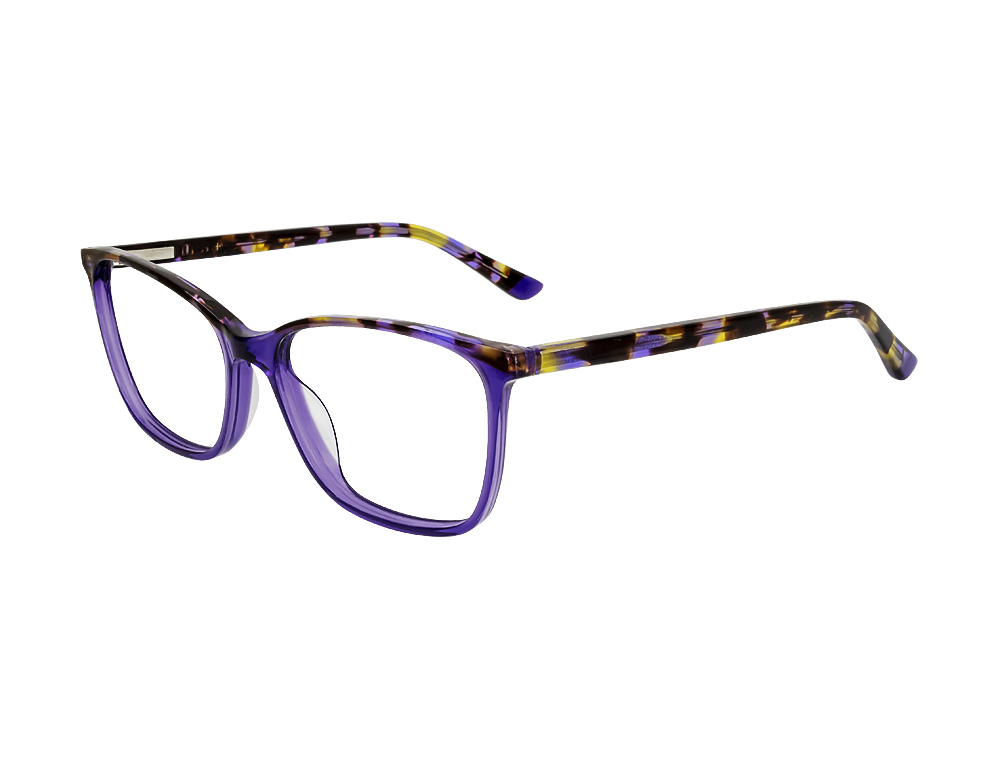 Purple Tortoise