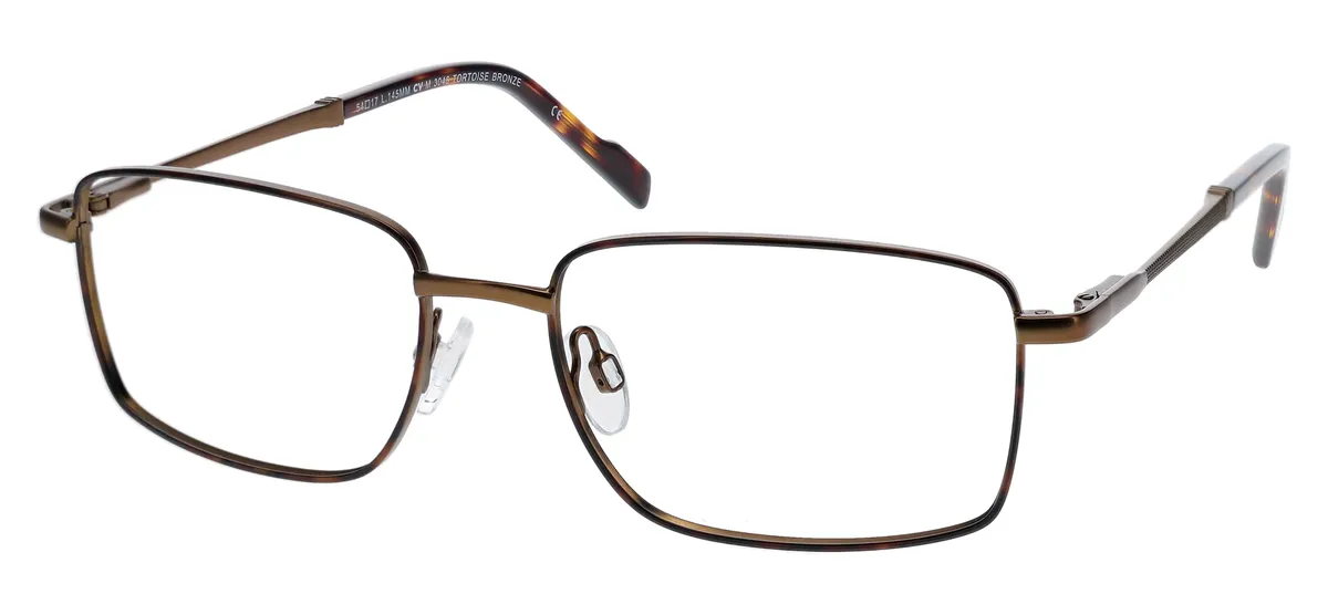 TORTOISE BRONZE