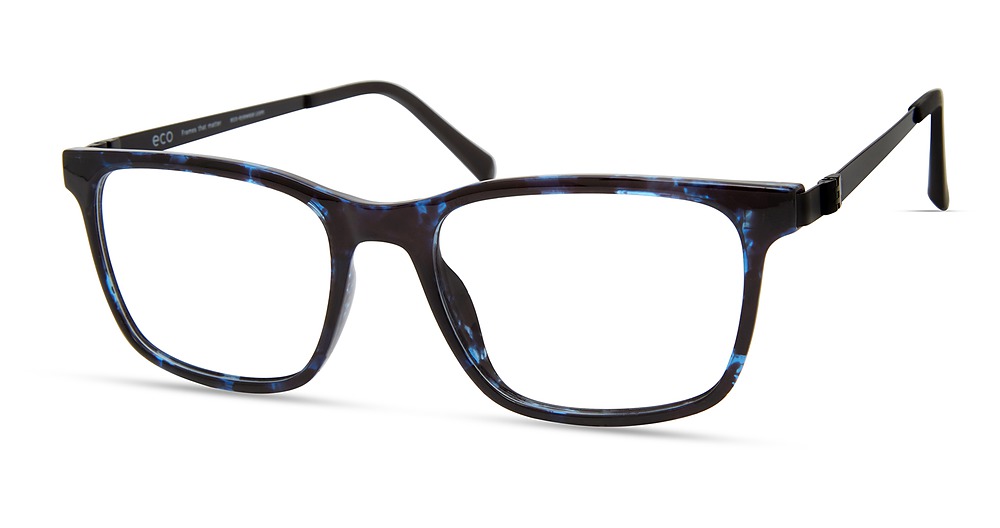 Blue Tortoise