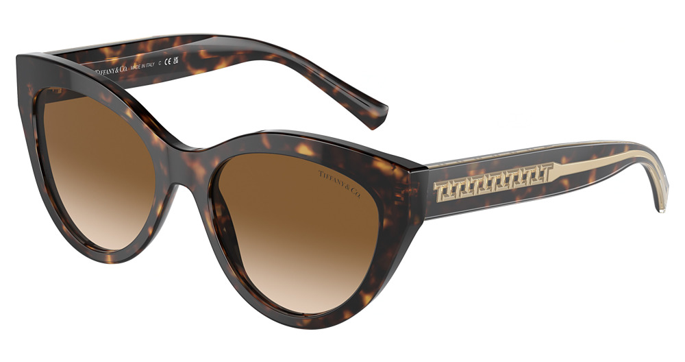 HAVANA / CLEAR GRADIENT BROWN