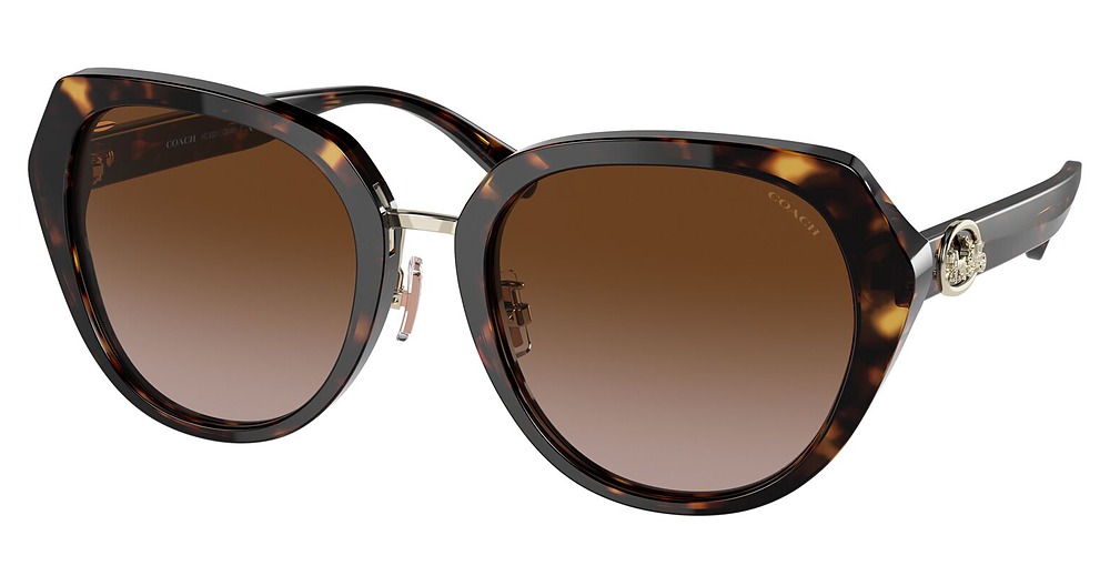 DARK TORTOISE / BROWN GRADIENT