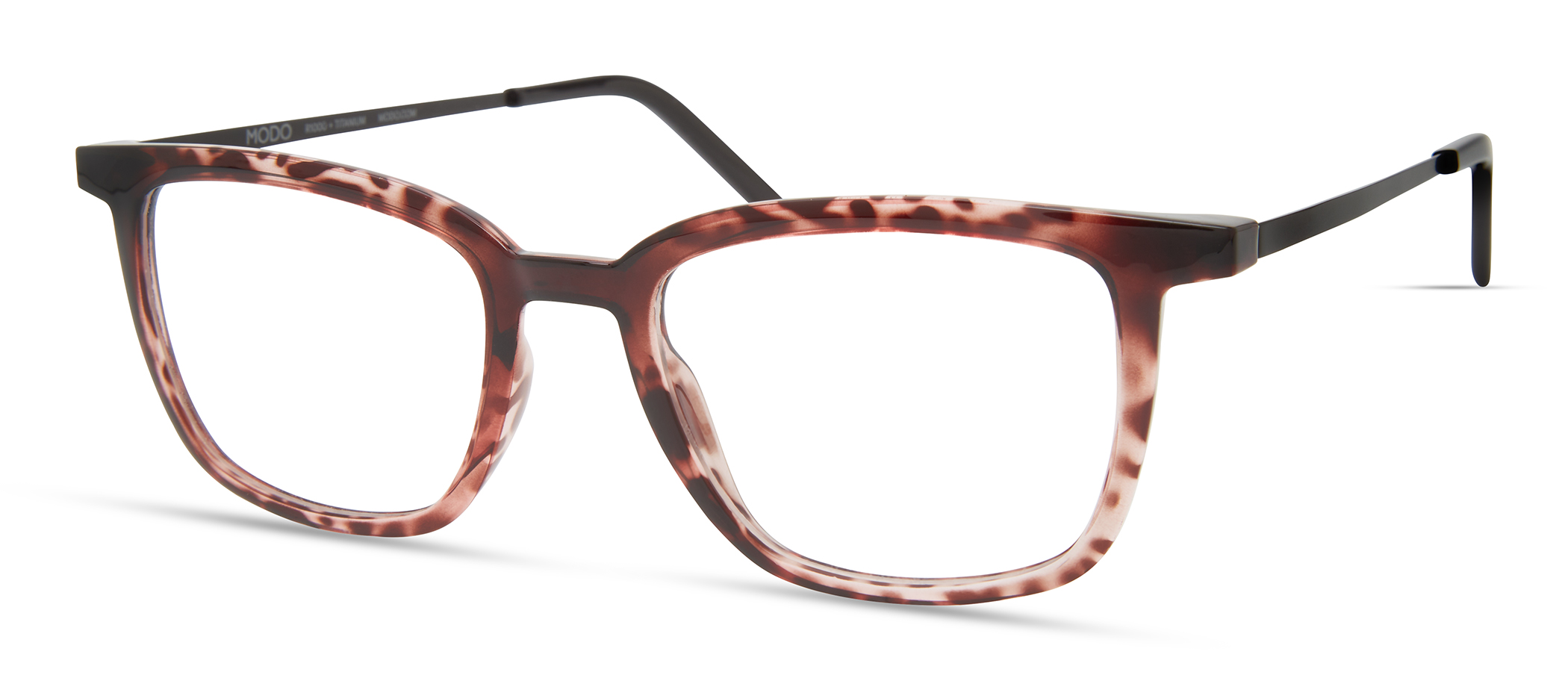 Violet Tortoise