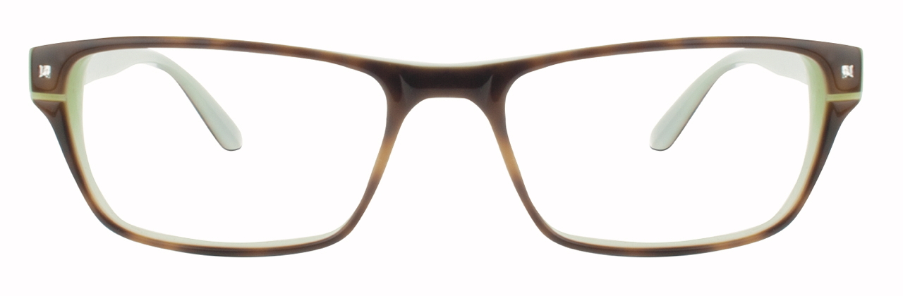 Tortoise / Mint
