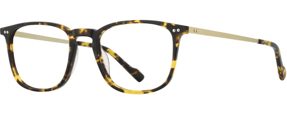 Tortoise / Gold