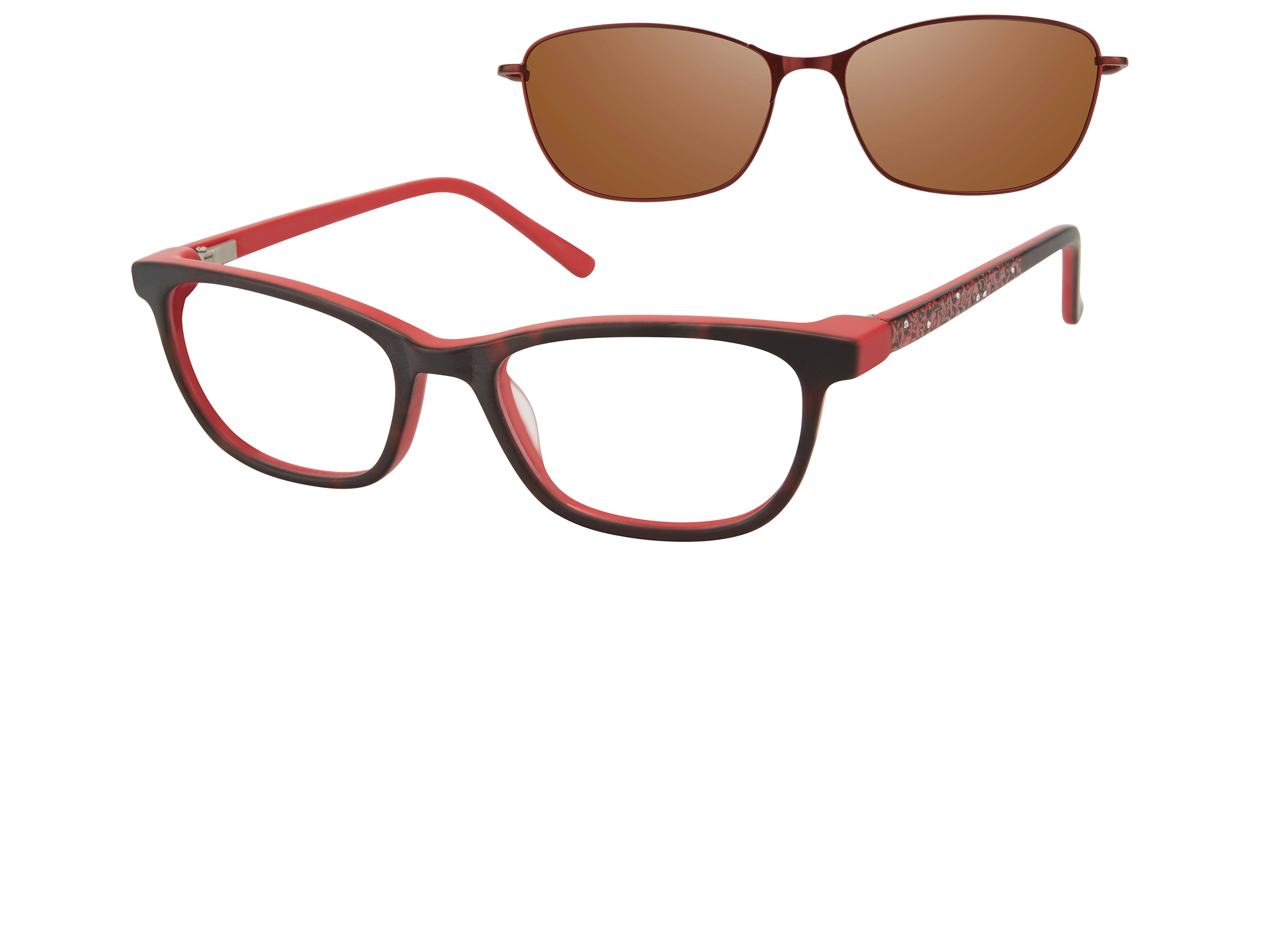 Tortoise Red (TORD)