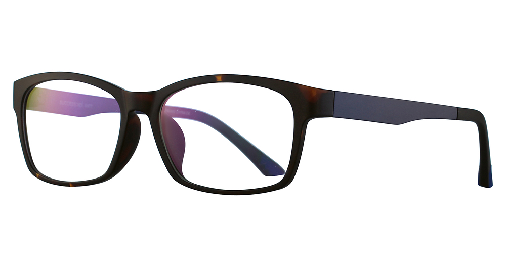 Tortoise/Blue