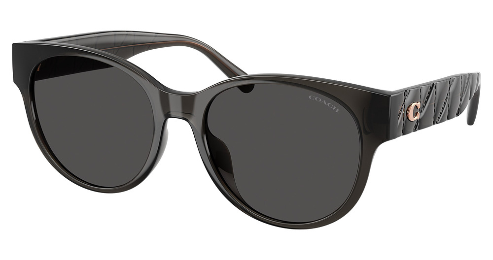 TRANSPARENT DARK GREY / GREY SOLID