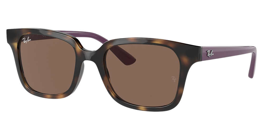 HAVANA / DARK BROWN