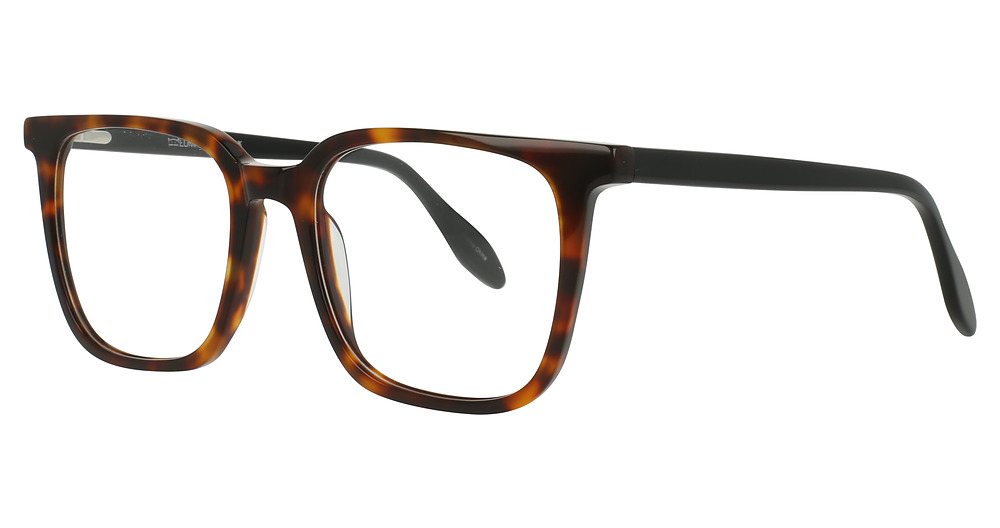 Tortoise/Black