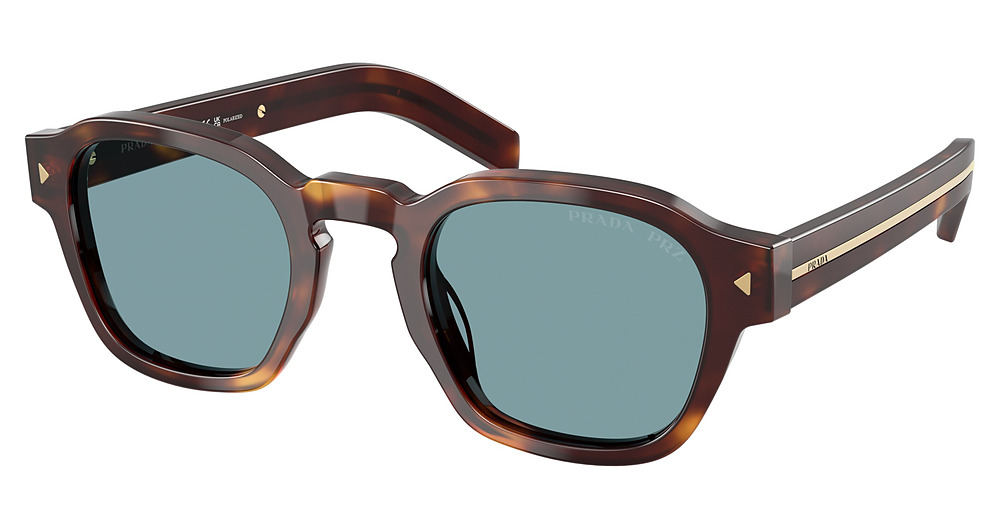 CLASSIC TORTOISE / GREEN POLAR