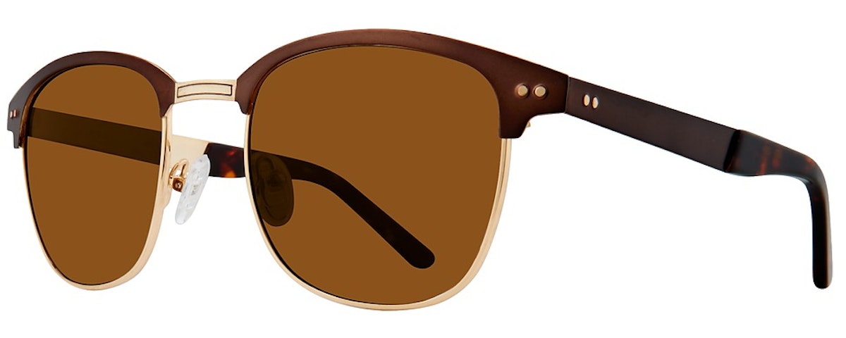 Brown / Polarized Brown