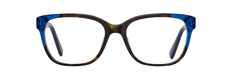 Dark Tortoise / Translucent Blue with Palm Frond Core