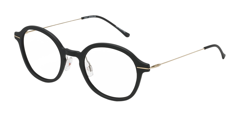 Black Matte with Gold Temples