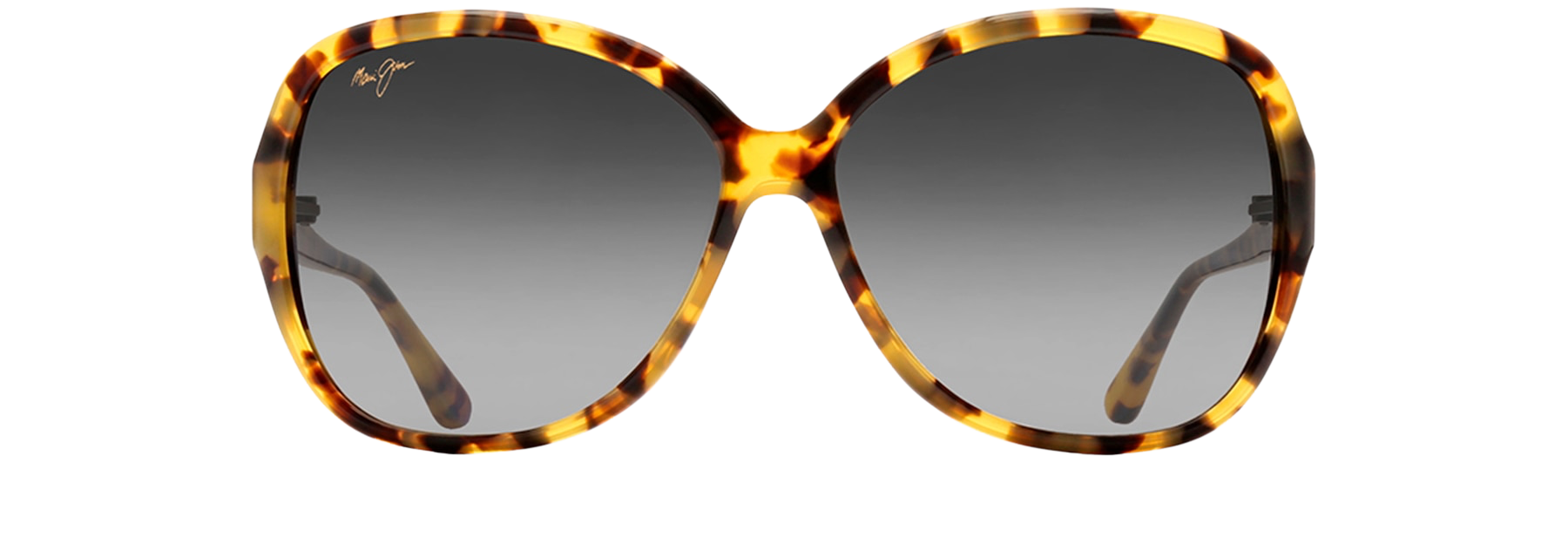 Tokyo Tortoise