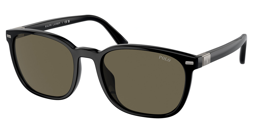 SHINY BLACK / BROWN