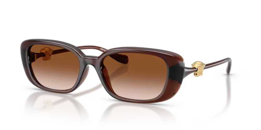 TRANSPARENT BROWN / BROWN GRADIENT