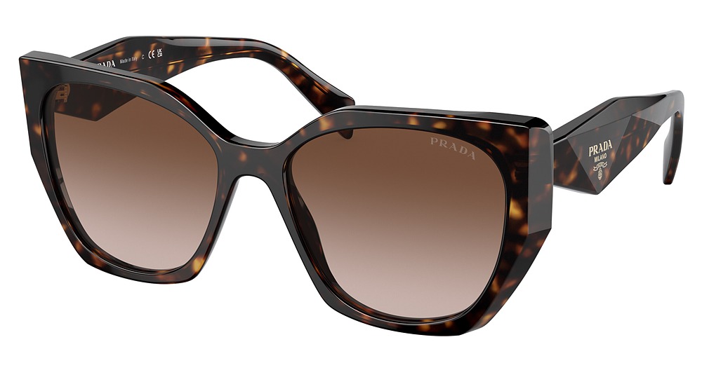 TORTOISE / BROWN GRADIENT