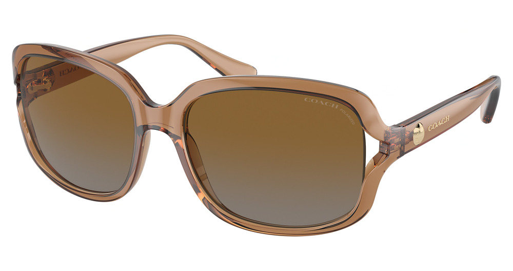 TRANSPARENT BROWN / BROWN GREY GRADIENT POLAR