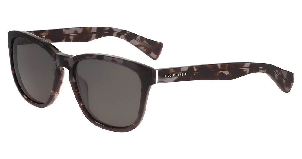 BLACK TORTOISE