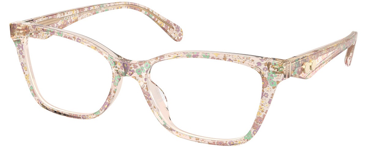 TRANSPARENT FLORAL FIELD