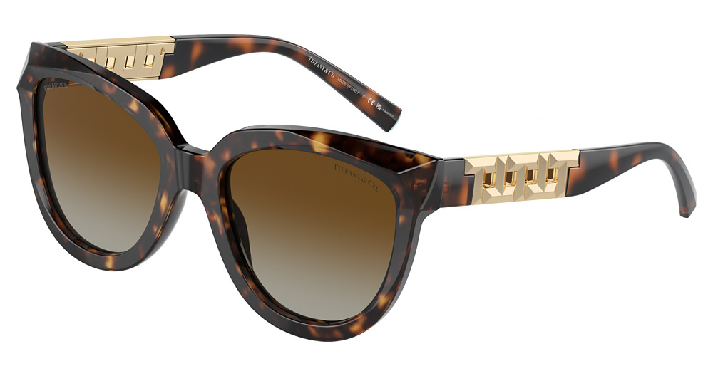 HAVANA / POLAR BROWN GRADIENT