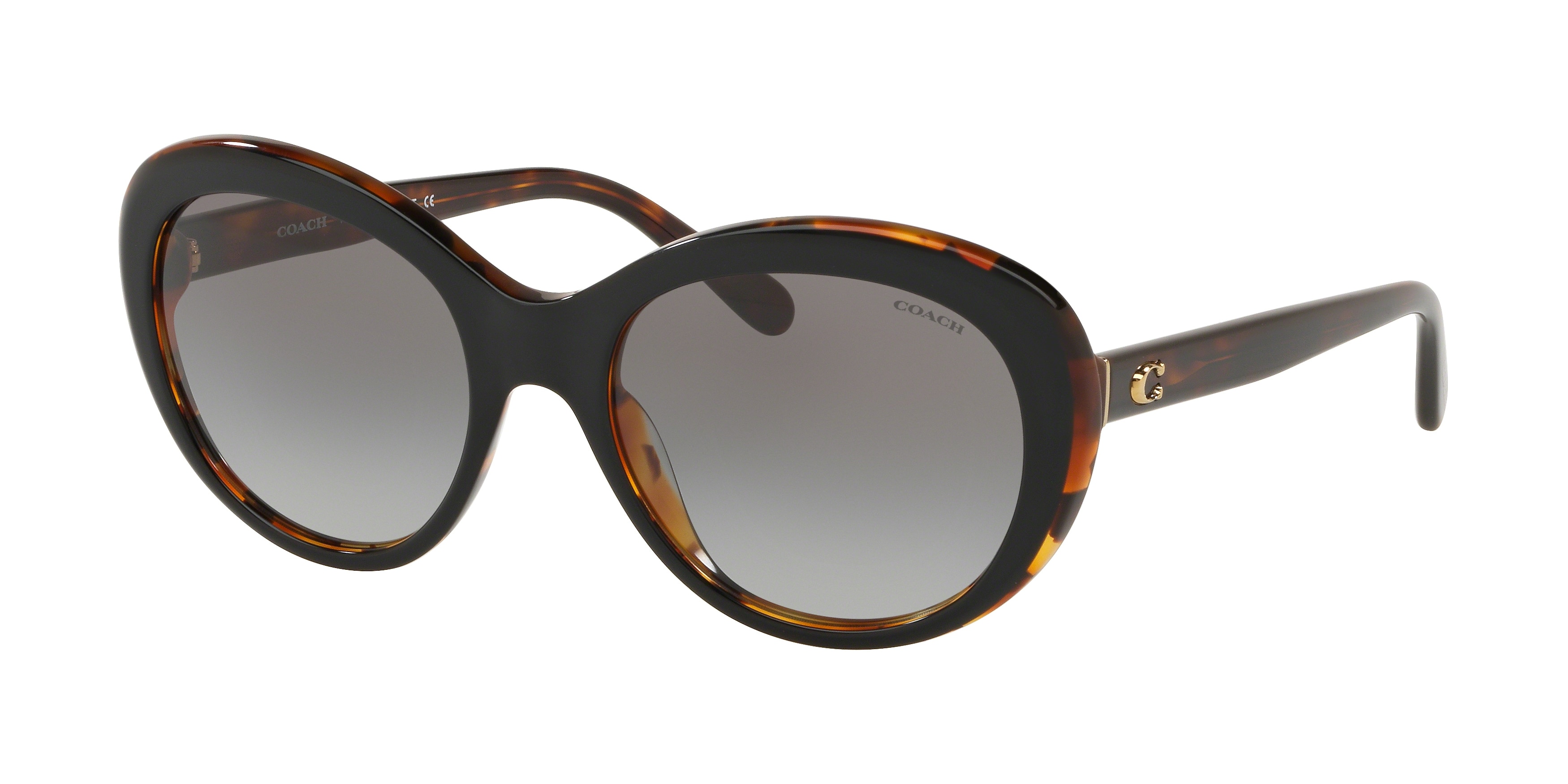 BLACK TORTOISE LAMINATE