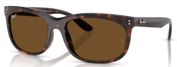 HAVANA / POLAR BROWN