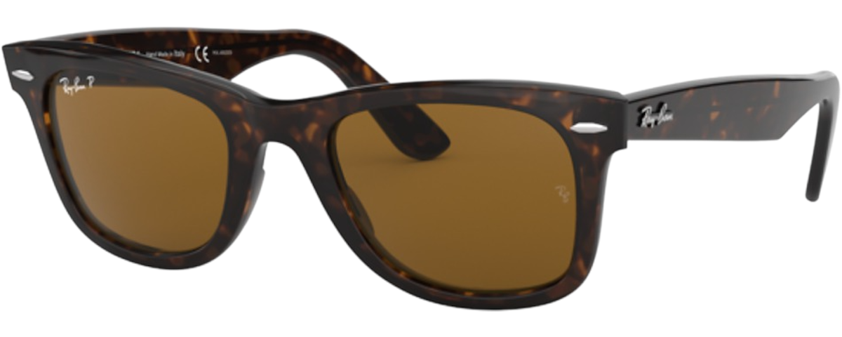 TORTOISE / BROWN POLARIZED