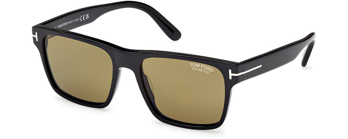 shiny black / brown polarized
