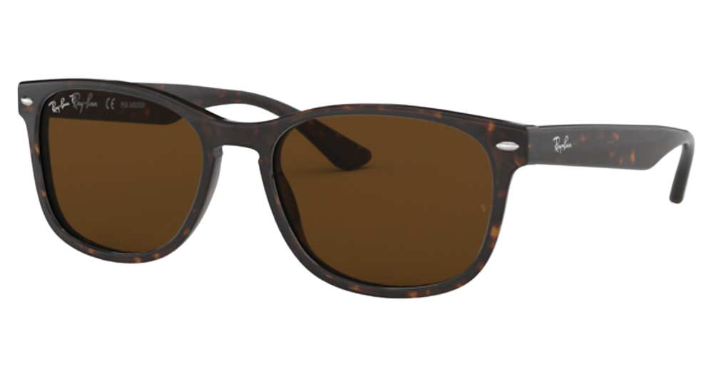 TORTOISE / B-15 BROWN