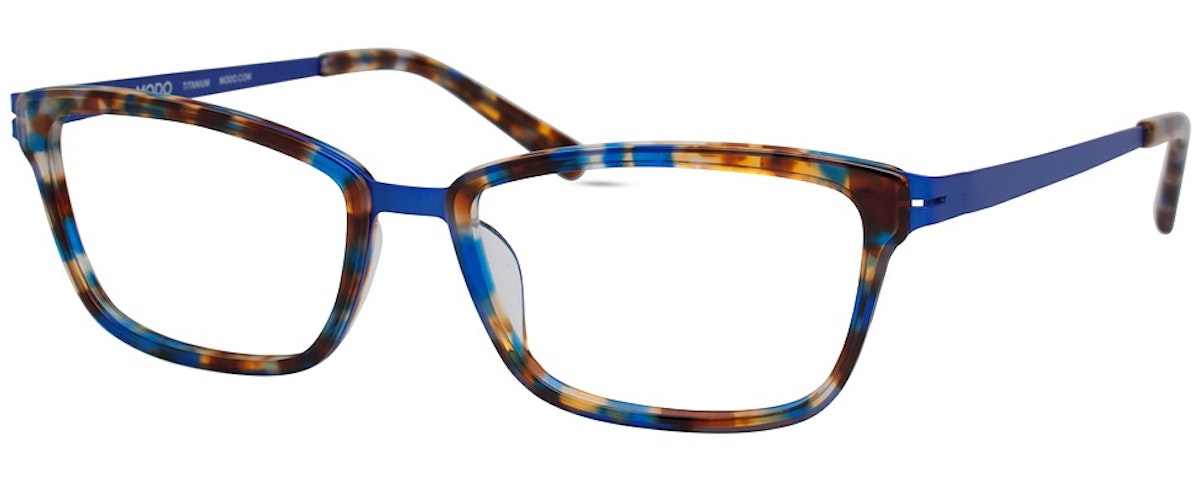 BLUE TORTOISE