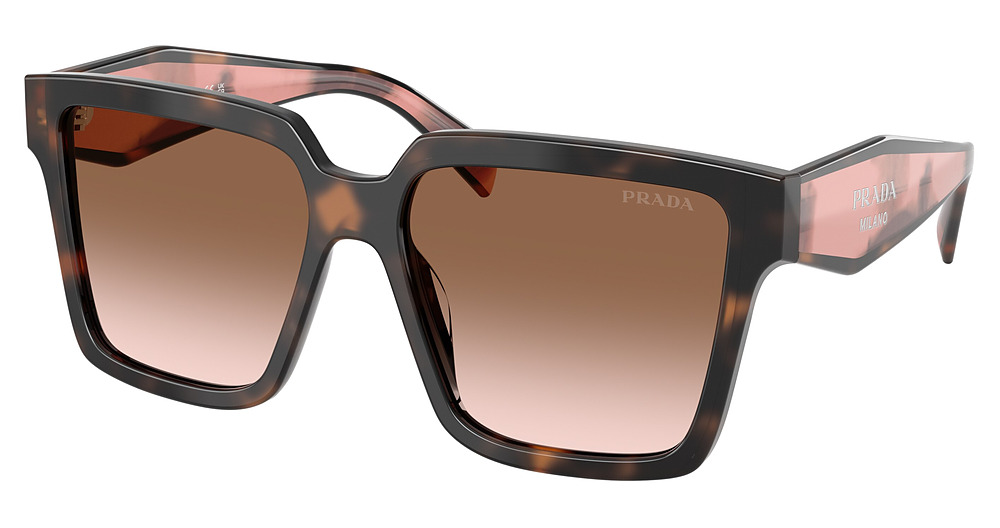 MAUVE TORTOISE / BROWN GRADIENT