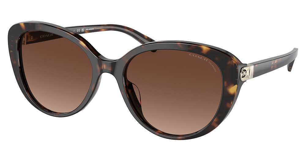 DARK TORTOISE / BROWN GRADIENT POLAR