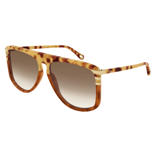 HAVANA-HAVANA-BROWN / BROWN