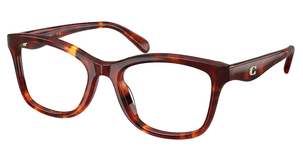 WALNUT TORTOISE